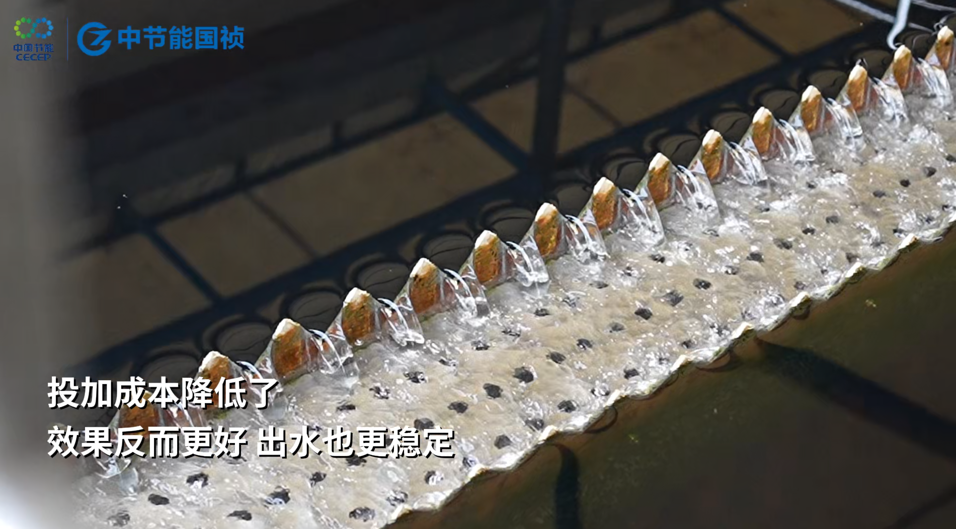 九游会·(j9)官方网站